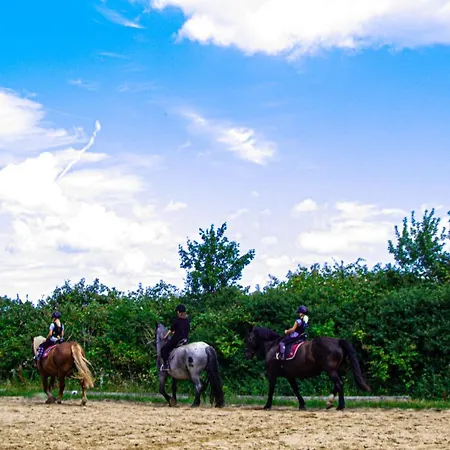 Staberhuk Links - Xl - Sonnendurchflutet - Terrasse Apartmán Staberdorf