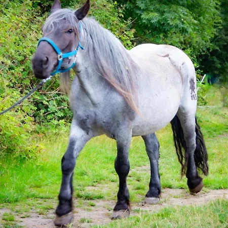 Staberhuk Links - Xl - Sonnendurchflutet - Terrasse דירה