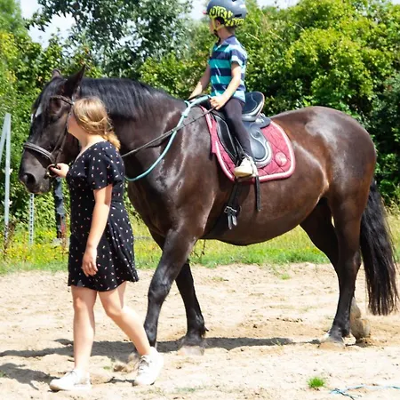 Staberhuk Links - Xl - Sonnendurchflutet - Terrasse Apartmán *