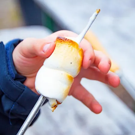 Staberhuk Links - Xl - Sonnendurchflutet - Terrasse *