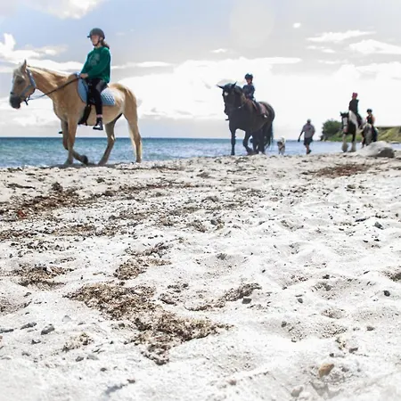Staberhuk Links - Xl - Sonnendurchflutet - Terrasse Apartmán Staberdorf