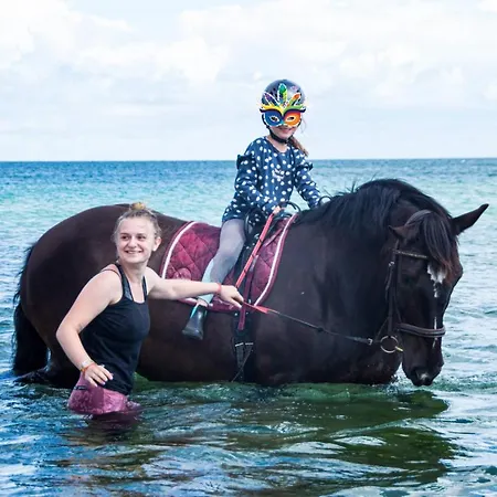 Staberhuk Links - Xl - Sonnendurchflutet - Terrasse * Staberdorf