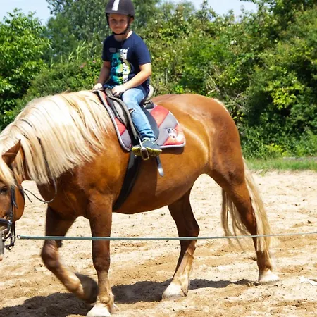 Staberhuk Links - Xl - Sonnendurchflutet - Terrasse *