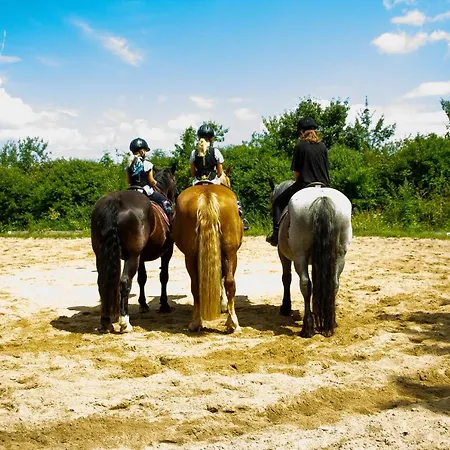 Staberhuk Links - Xl - Sonnendurchflutet - Terrasse * Staberdorf