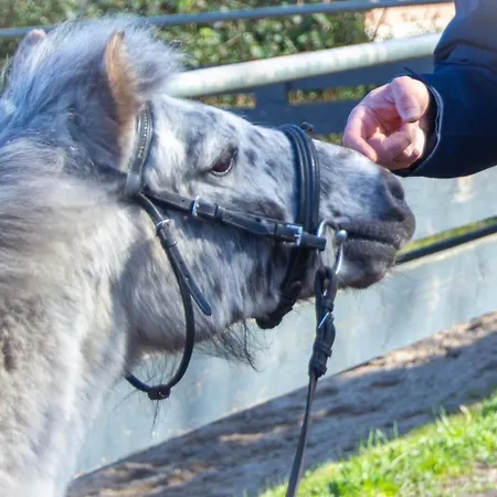 Staberhuk Links - Xl - Sonnendurchflutet - Terrasse * Staberdorf
